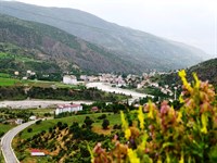 Çamoluk